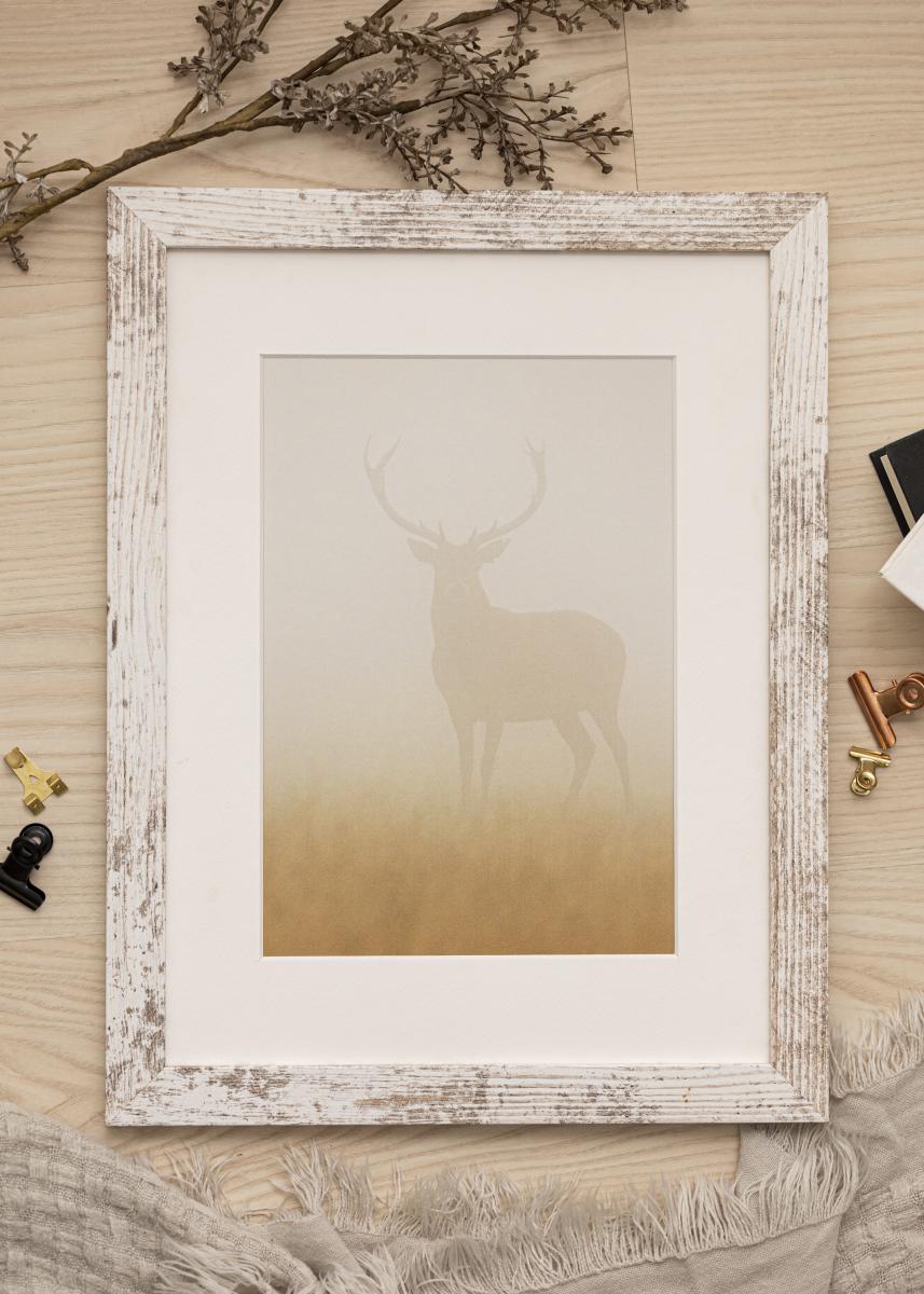 Buy Frame Superb Aa X Cm Here Bgastore Ie