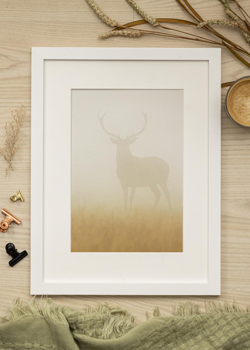 Buy Frame Mora Premium White 24x30 cm here 