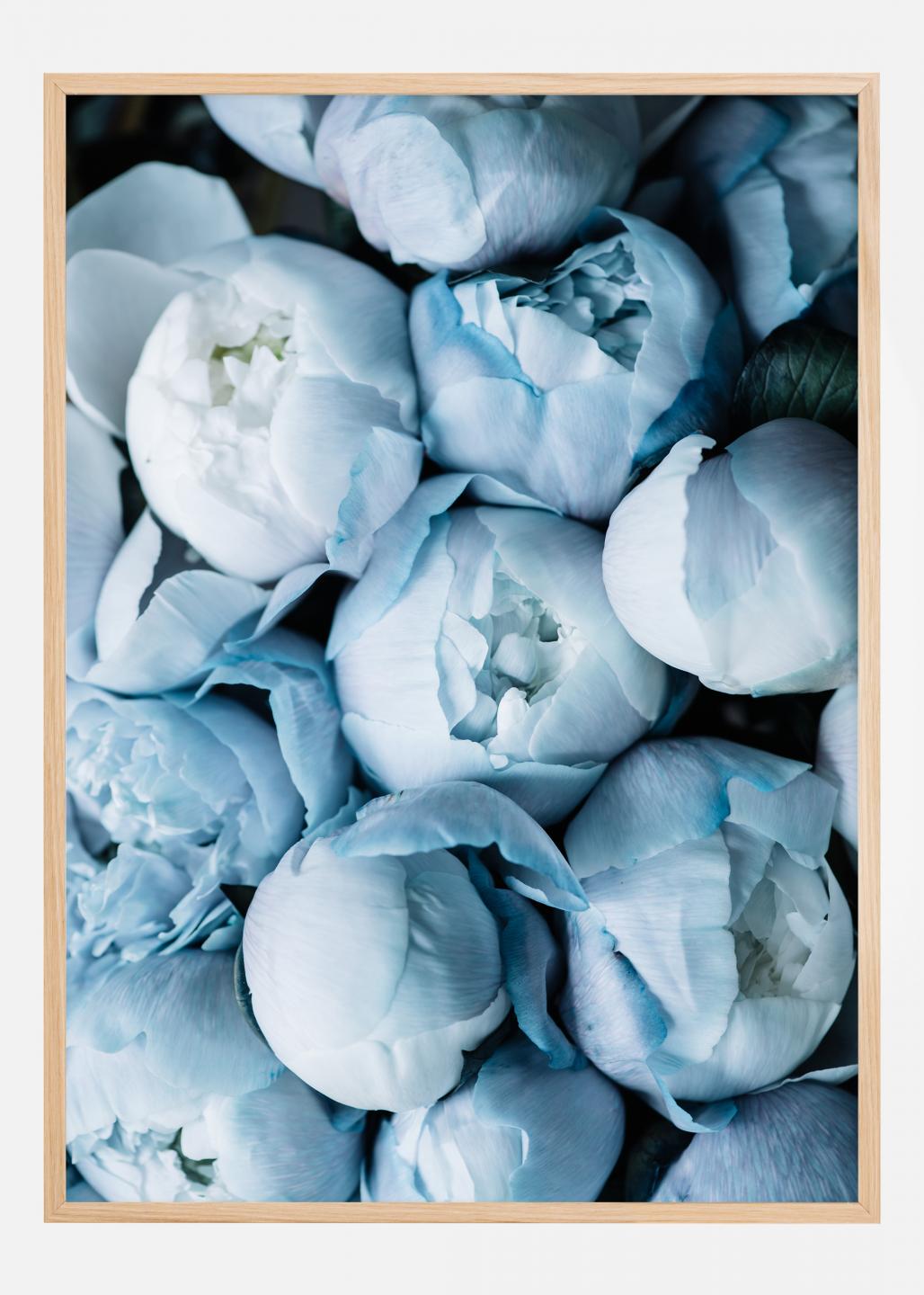 Buy Aquarelle Flower - Blue Poster here 