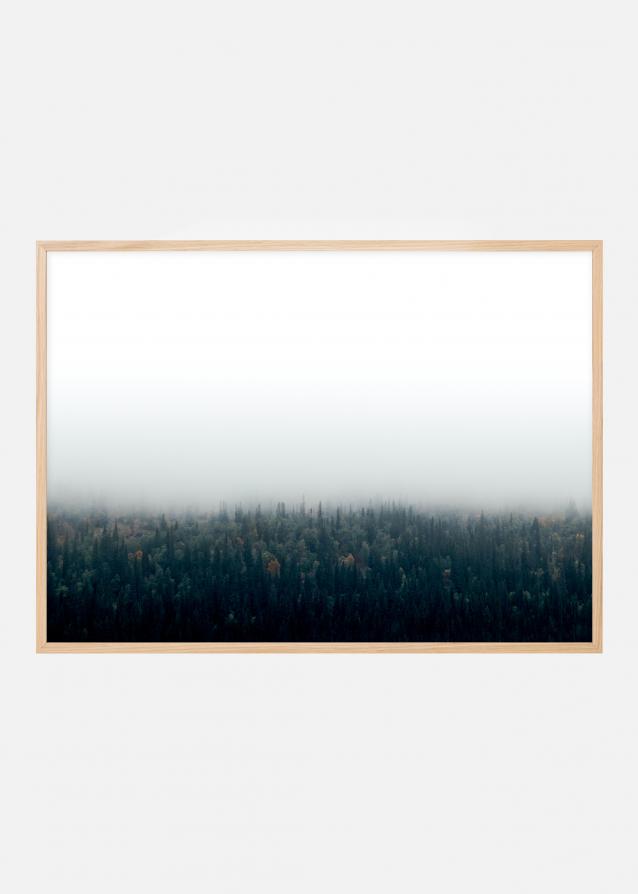 Bildverkstad Forests in fog Poster
