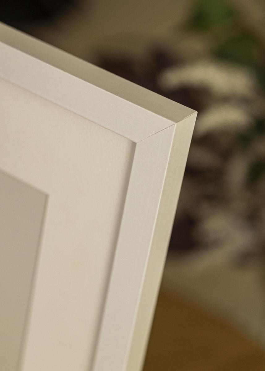 Buy Frame Selection Acrylic Glass White 40x50 Cm Here - BGASTORE.IE