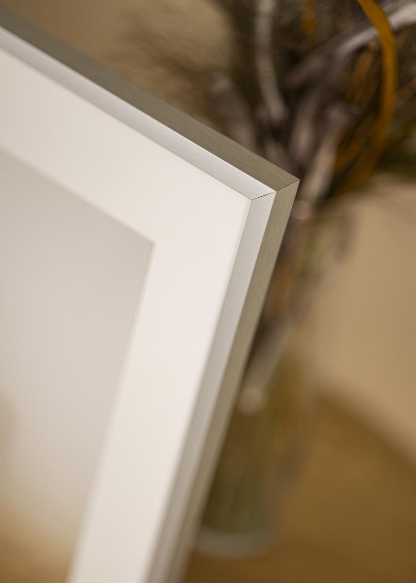 Buy Frame Helsinki Silver - Custom Size here - BGASTORE.IE