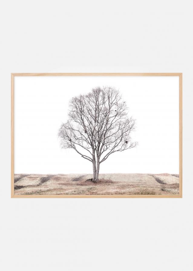 Bildverkstad The lonely tree Poster