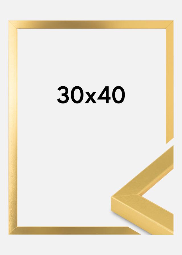 Innova Picture Frame Gold Wide 30 x 40 cm