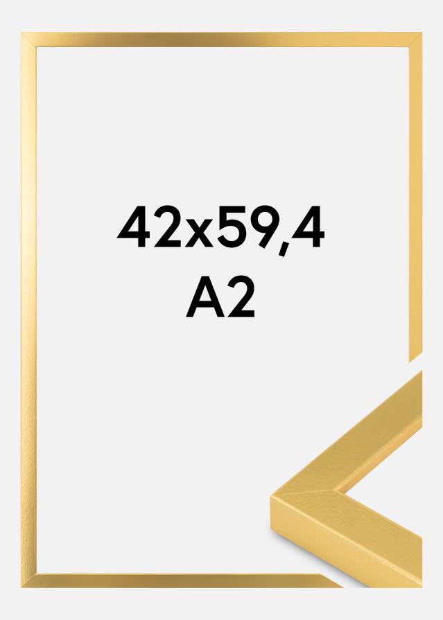 Innova Picture Frame Gold Wide 42 x 59,4 cm (A2)