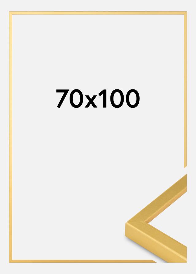 Innova Picture Frame Gold Slim 70 x 100 cm