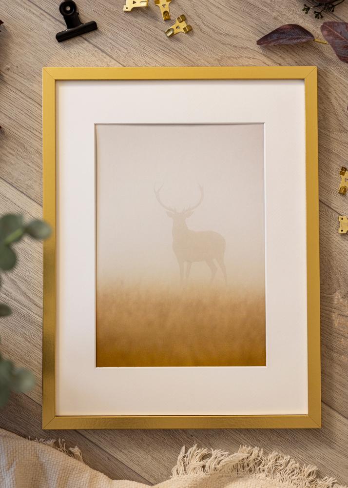 Ram med passepartou Frame Minerva Gold 30x30 cm - Mounts White 20x20 cm