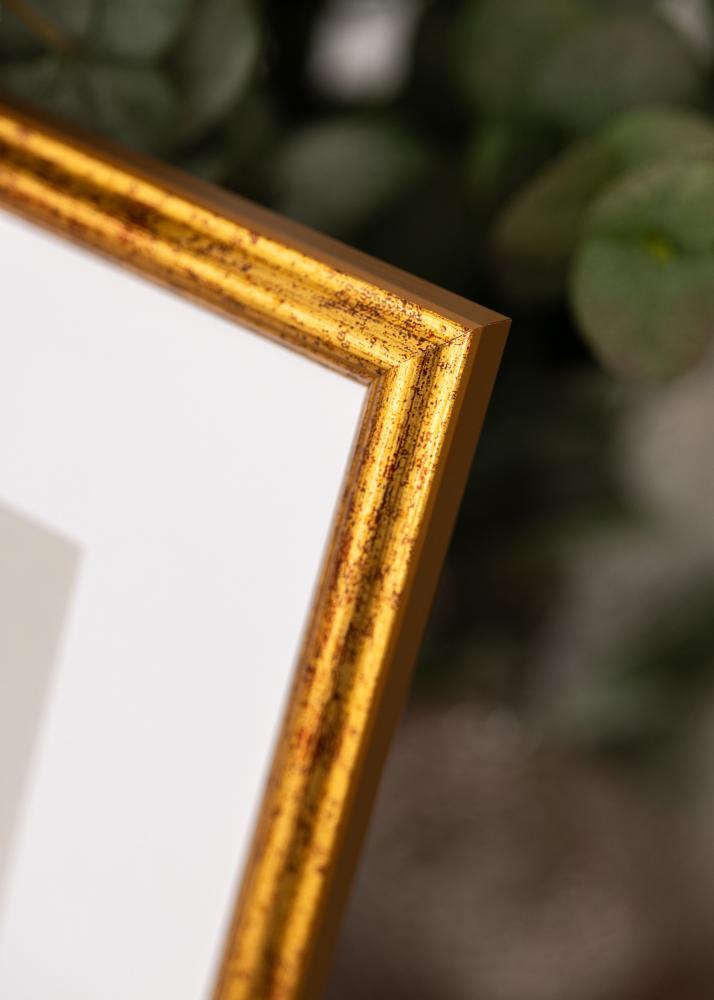 Ramverkstad Frame Claudia Acrylic Glass Gold 29,7x42 cm (A3)