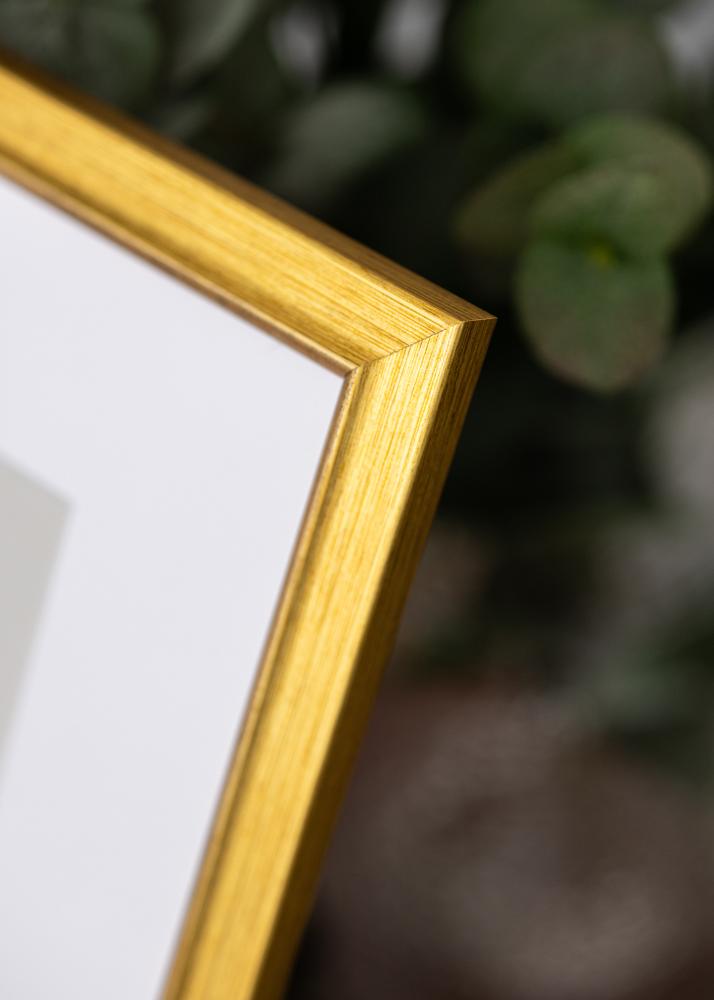 Ramverkstad Frame Marisa Acrylic Glass Gold 29.7x42 cm (A3)