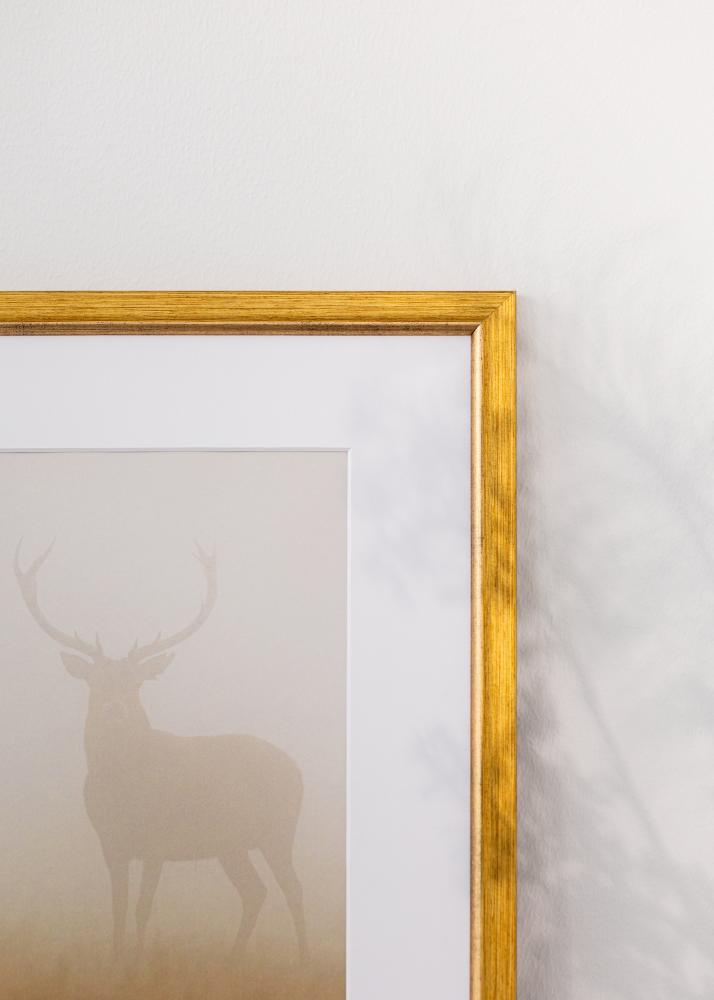 Ramverkstad Frame Marisa Acrylic Glass Gold 29.7x42 cm (A3)