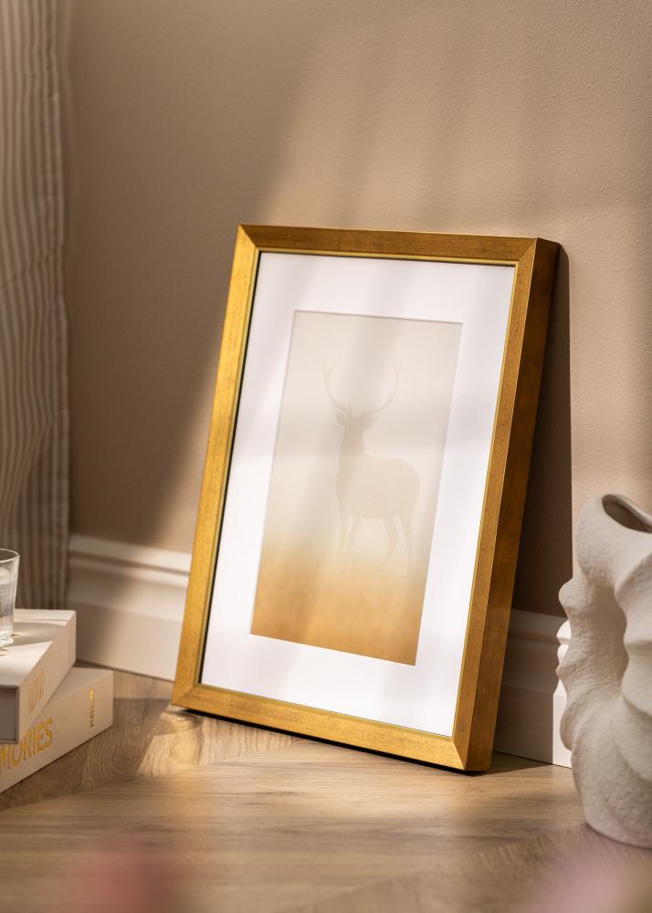 Ramverkstad Frame Brema Acrylic Glass Gold 29.7x42 cm (A3)