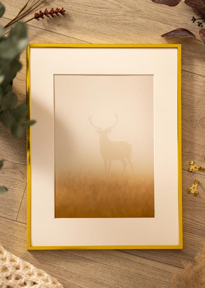 BGA Aluminium Frame Acrylic Glass Gold 61x91.5 cm