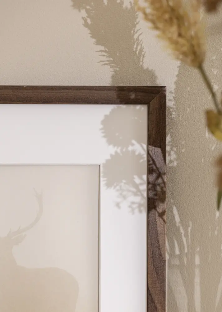 Ram med passepartou Frame Stilren Walnut 35x45 cm - Mounts White B4 250x353 mm