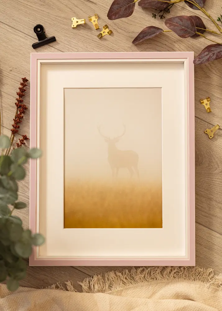 Ram med passepartou Frame Diana Pink 70x70 cm - Mounts White 60x60 cm