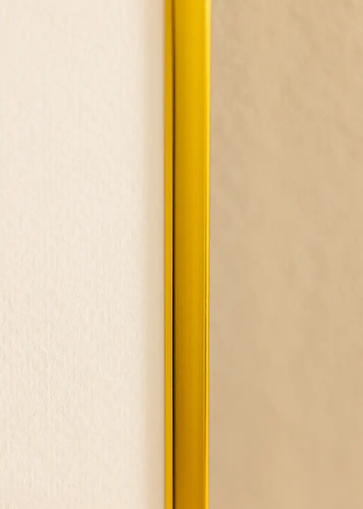 BGA Aluminium Frame Acrylic Glass Gold 61x91.5 cm