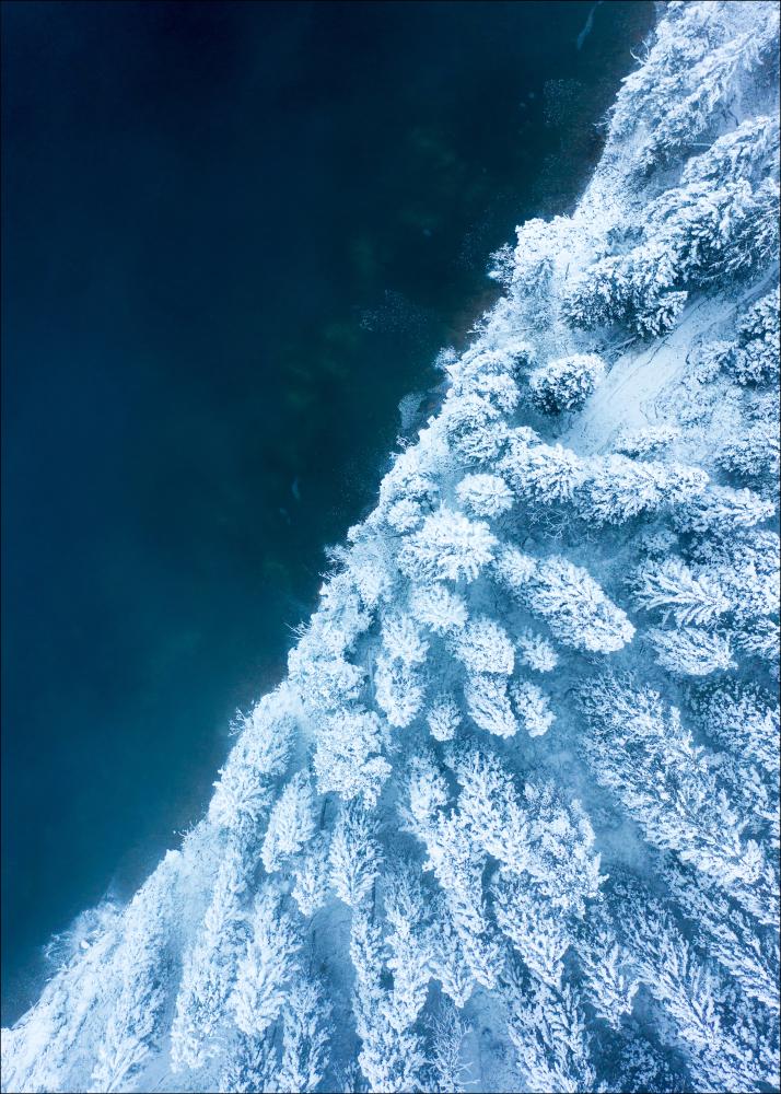 Bildverkstad Frosty Forest Poster