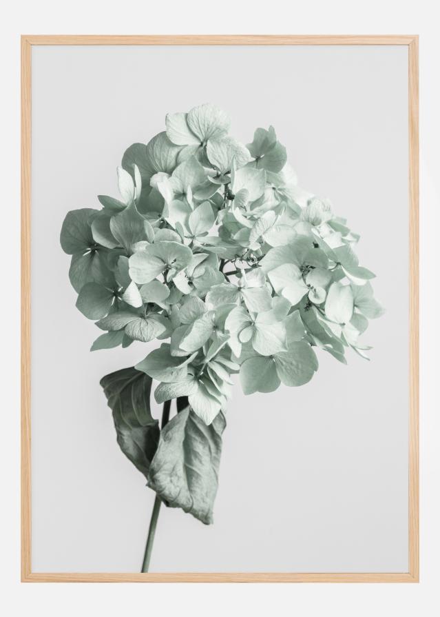 Bildverkstad Green Dried Flower Poster