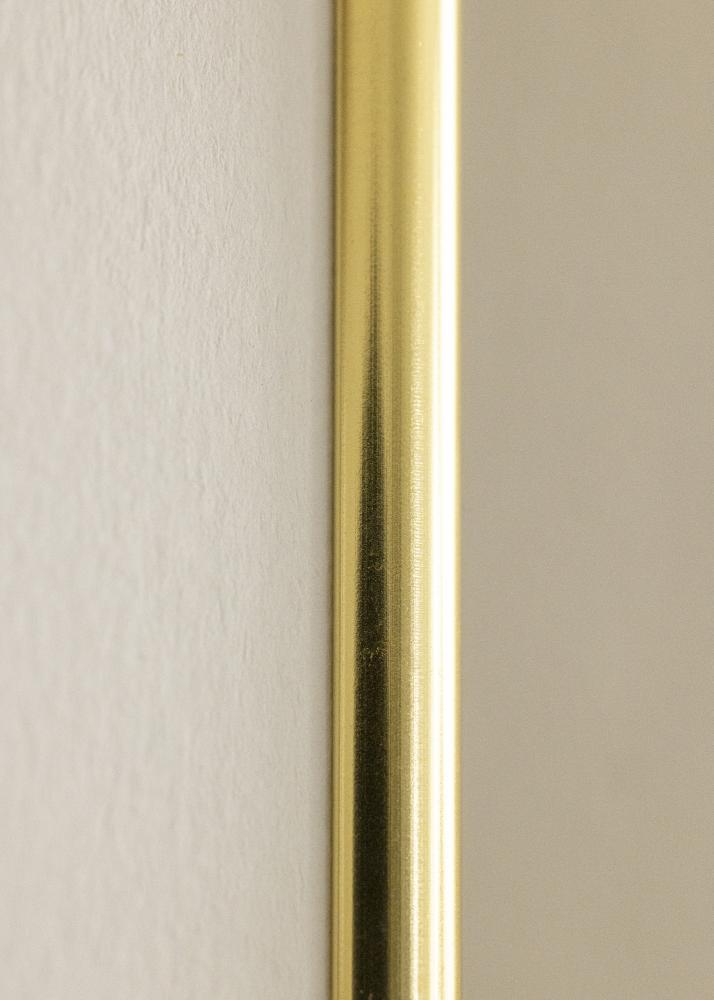 Focus Frame Can-Can Gold 20x25 cm