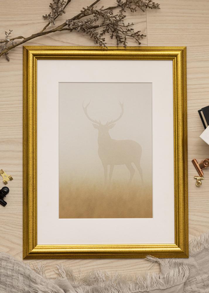 Ram med passepartou Frame Västkusten Gold 30x40 cm - Picture Mount White 8x12 inches