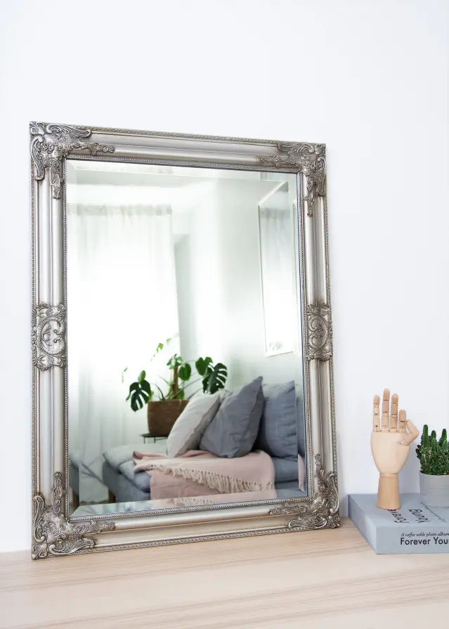 Artlink Mirror Bologna Silver 62x82 cm