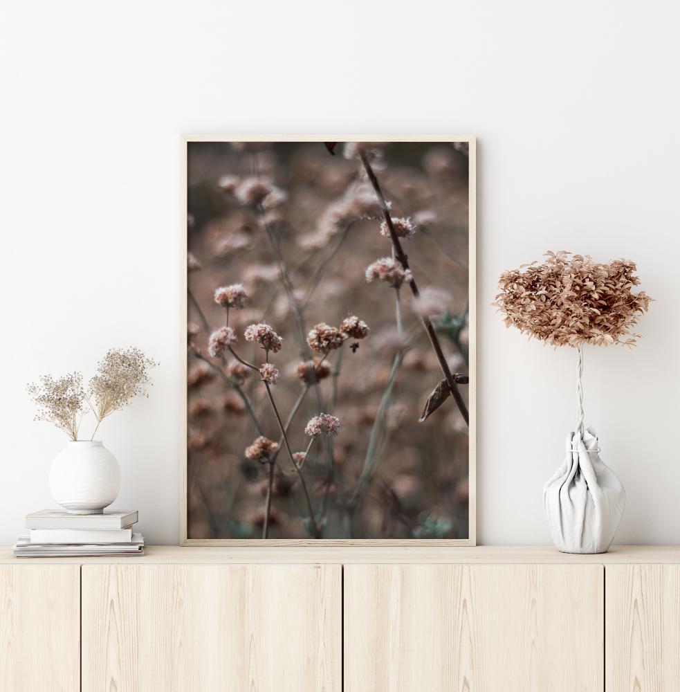 Bildverkstad Bridal Veil Flower Poster