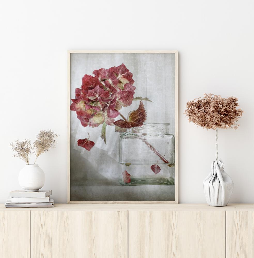 Bildverkstad Hydrangea Poster