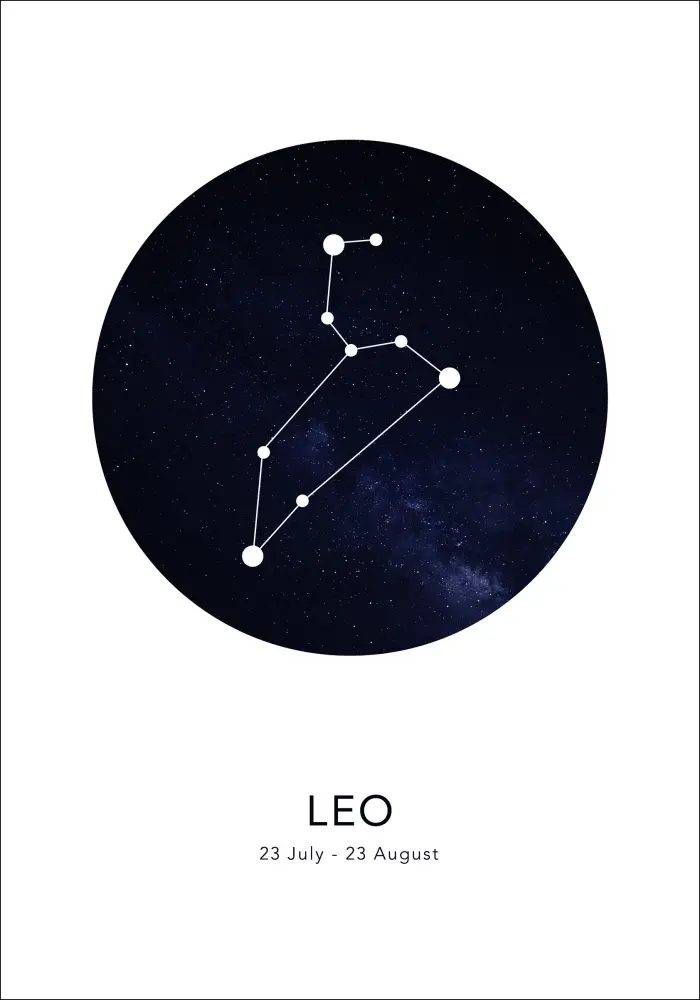 Bildverkstad Leo Poster