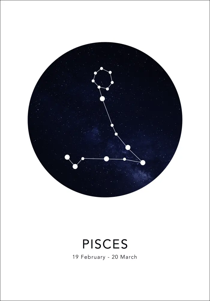 Bildverkstad Pisces Poster