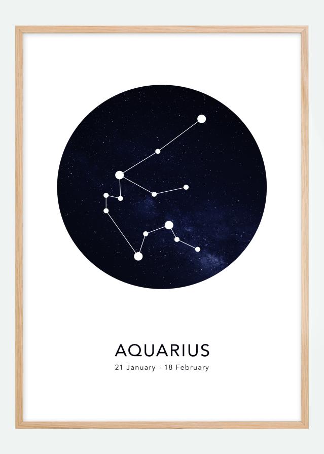 Bildverkstad Aquarius Poster