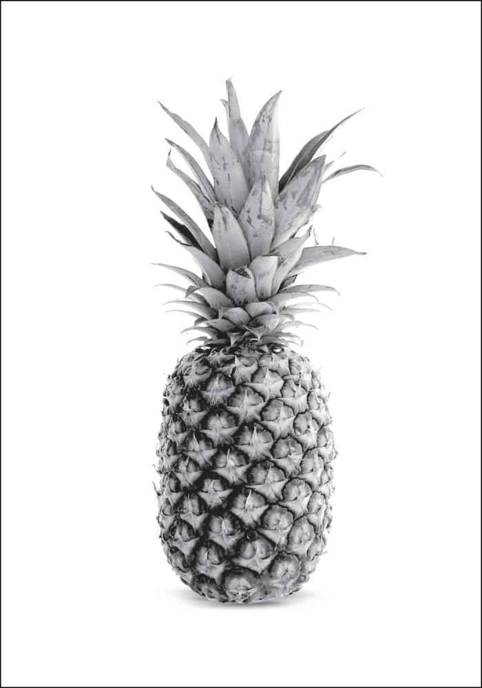 Bildverkstad Pineapple Grey Poster