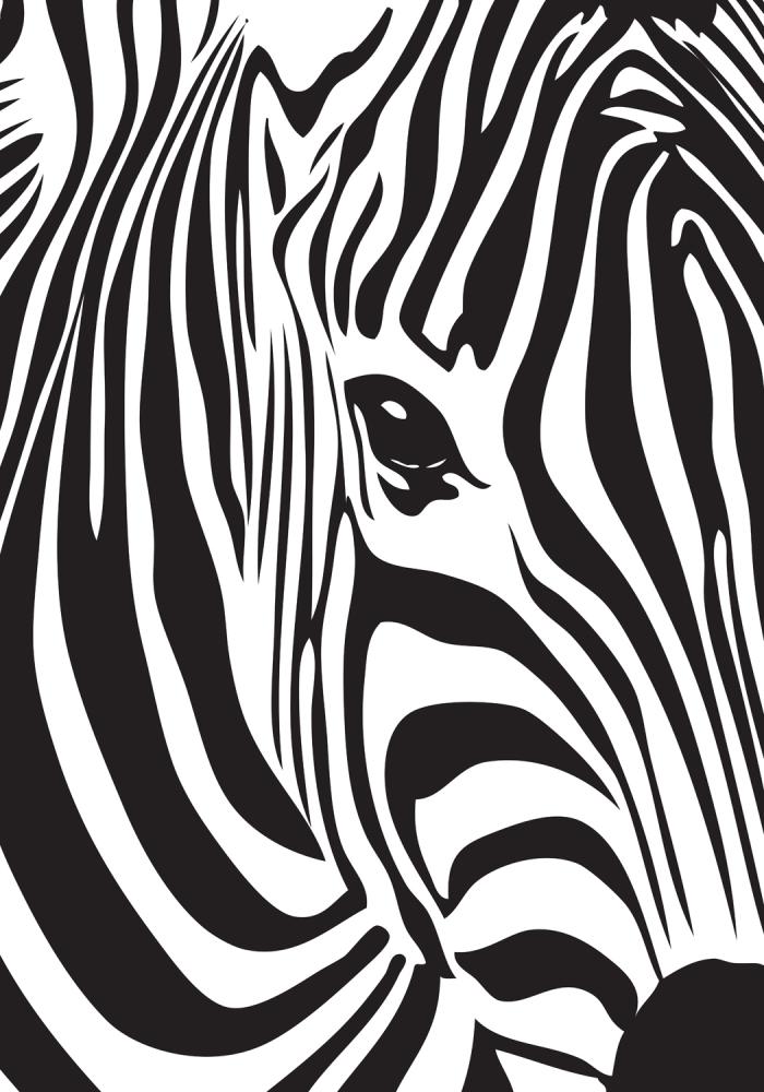 Bildverkstad Zebra Poster