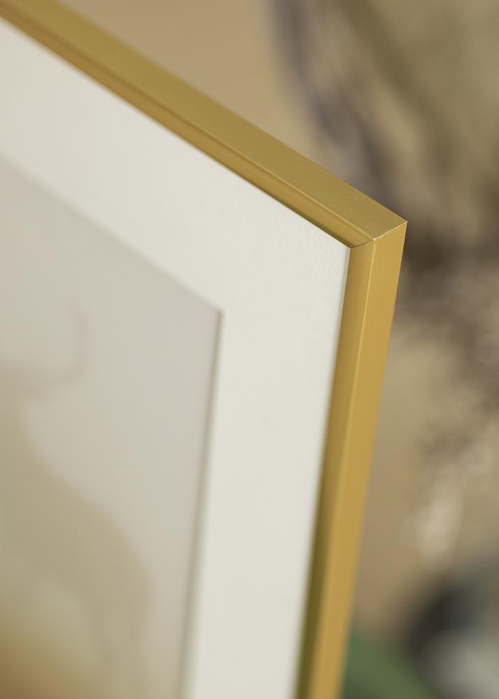 Ram med passepartou Frame New Lifestyle Gold 45x60 cm - Picture Mount White 12x18 inches