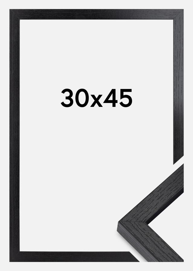 BGA BGA Box Frame Acrylic Glass Black 30x45 cm