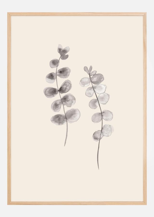 Bildverkstad Eucalyptus Twigs Poster