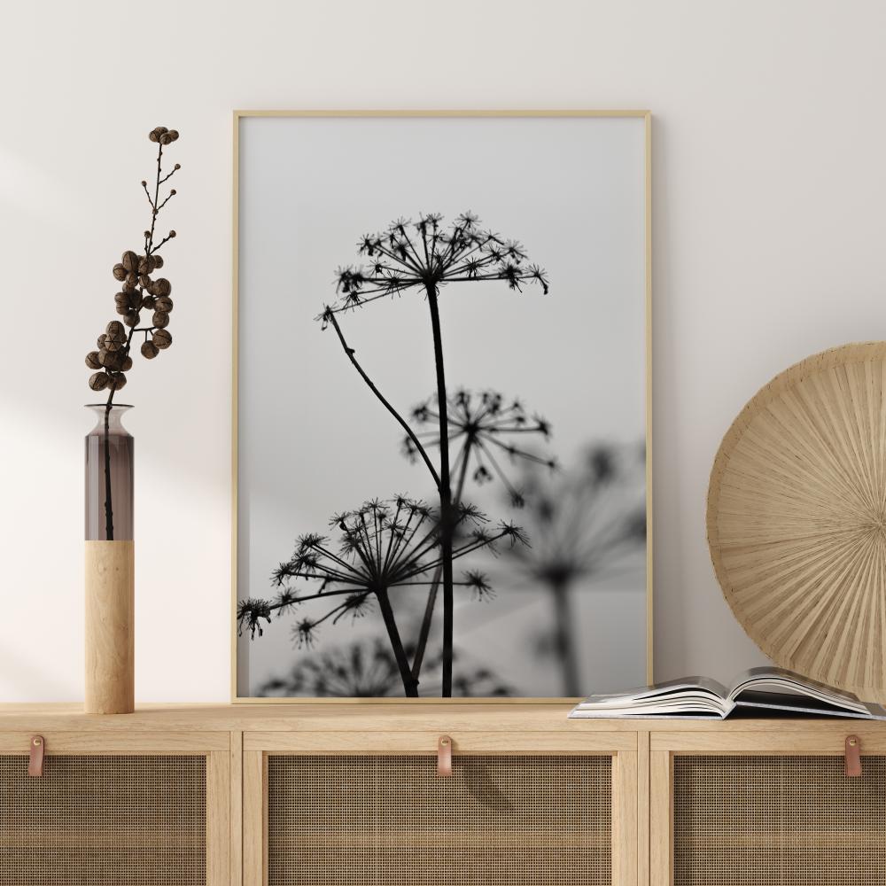 Bildverkstad Black And White Flowers Poster