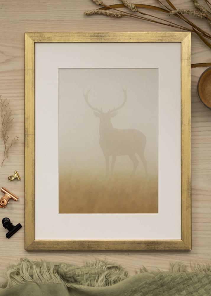 Ram med passepartou Frame Stilren Gold 35x50 cm - Picture Mount White 11x17 inches