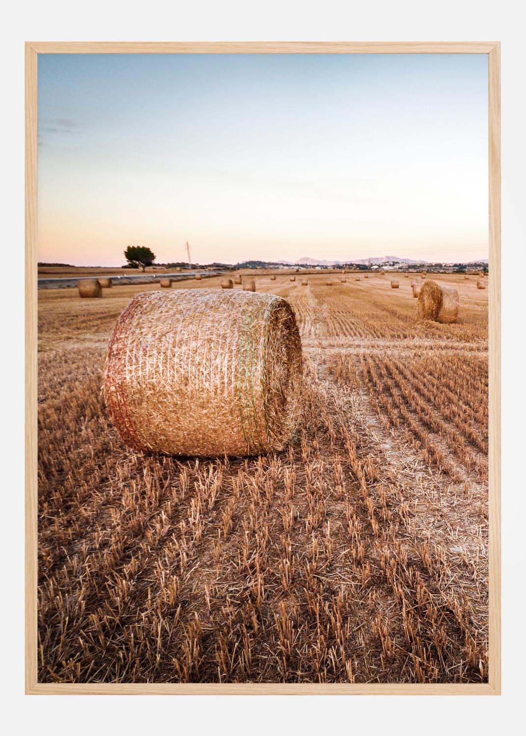 Product Image for Hay Fields Poster (50x70 cm)
