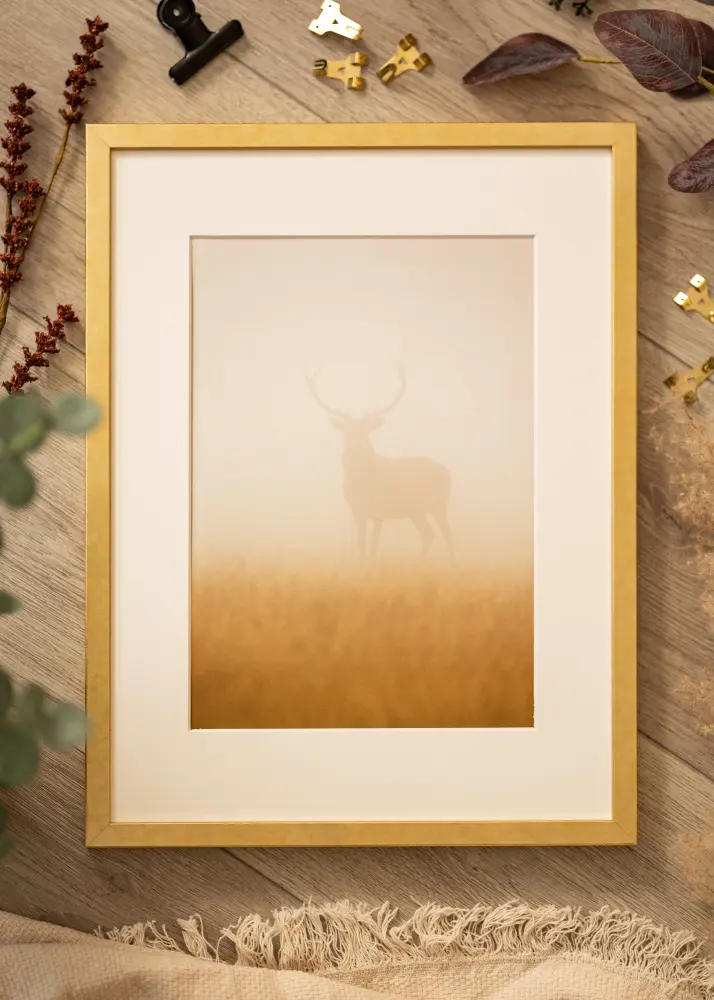 Mavanti Frame Ares Acrylic Glass Gold 40x40 cm
