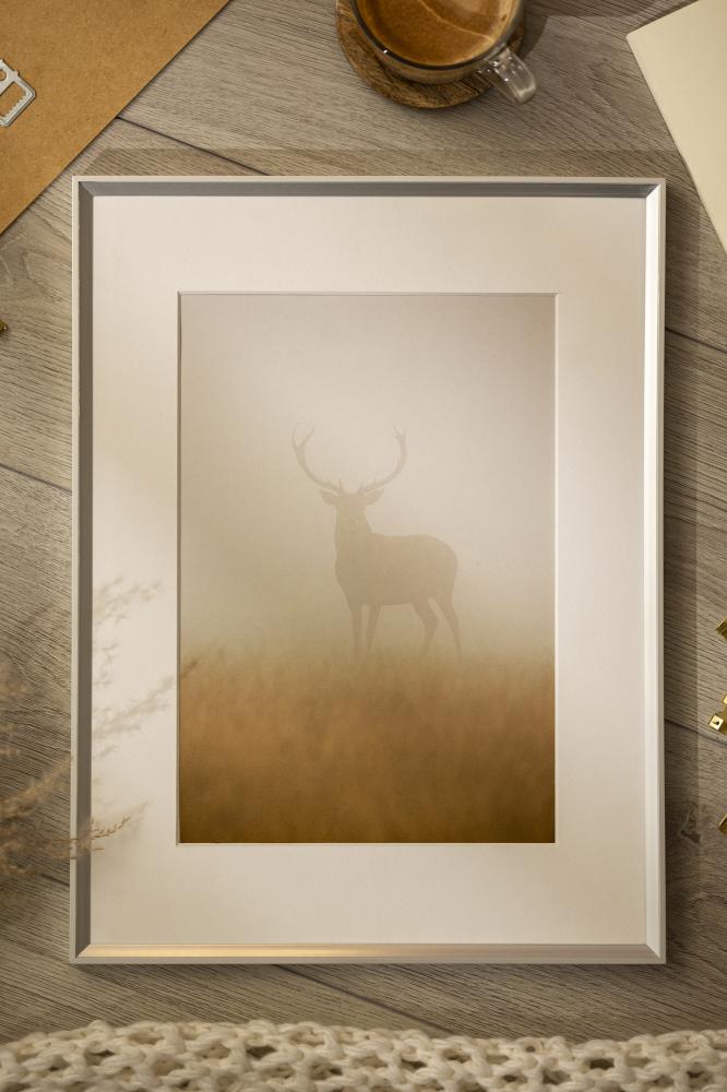 Ram med passepartou Frame Desire Silver 40x50 cm - Picture Mount White 12x16 inches