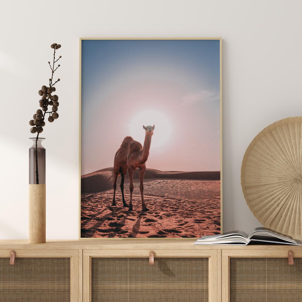 Bildverkstad Camel Poster