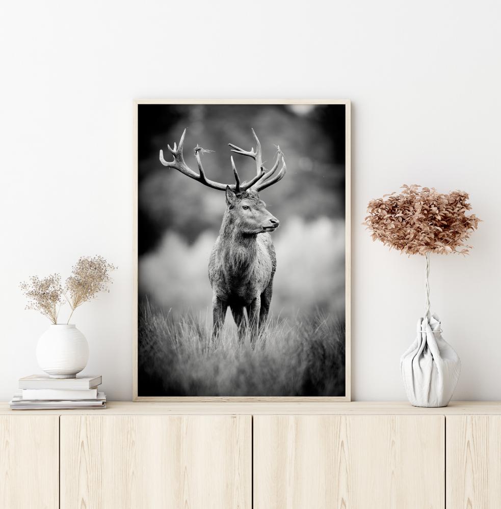 Bildverkstad Deer With Horns Poster