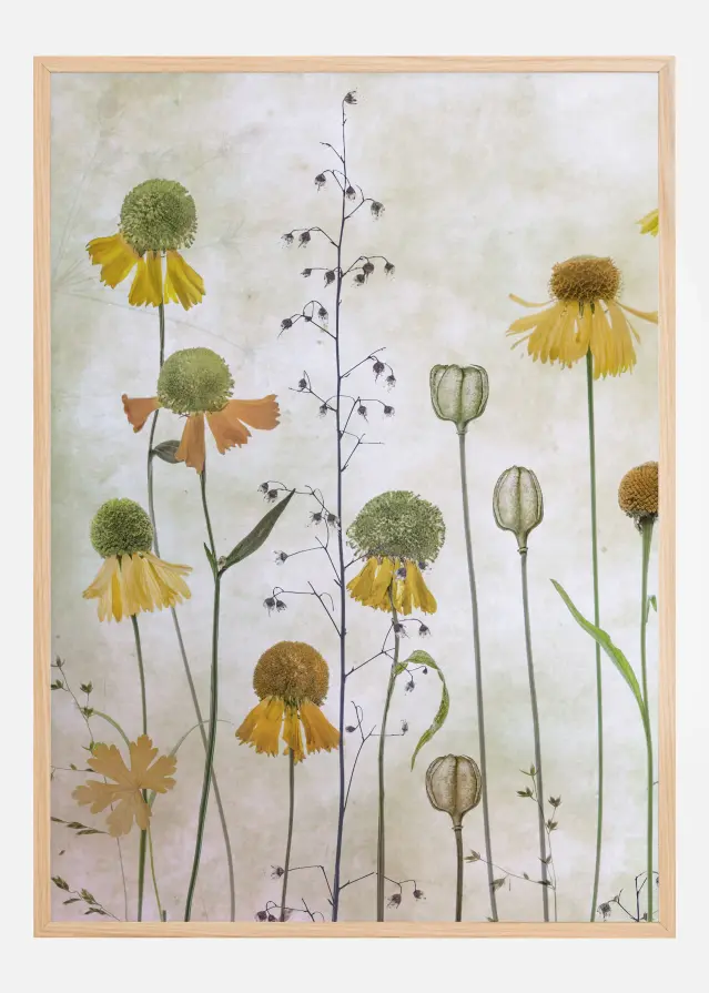 Bildverkstad Helenium Poster