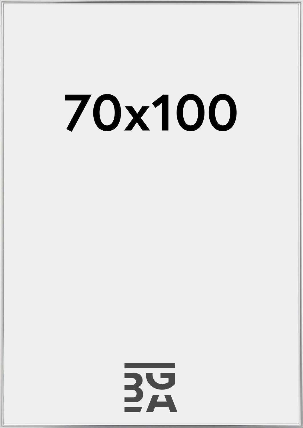 Product Image for Frame Hipster Acrylic Glass Silver 70x100 cm