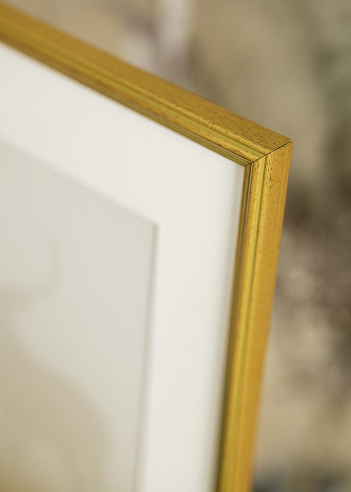 Estancia Frame Classic Gold 40x50 cm