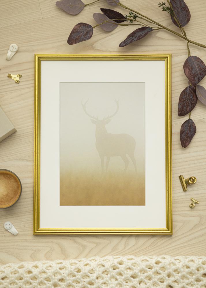 Estancia Frame Classic Gold 40x50 cm