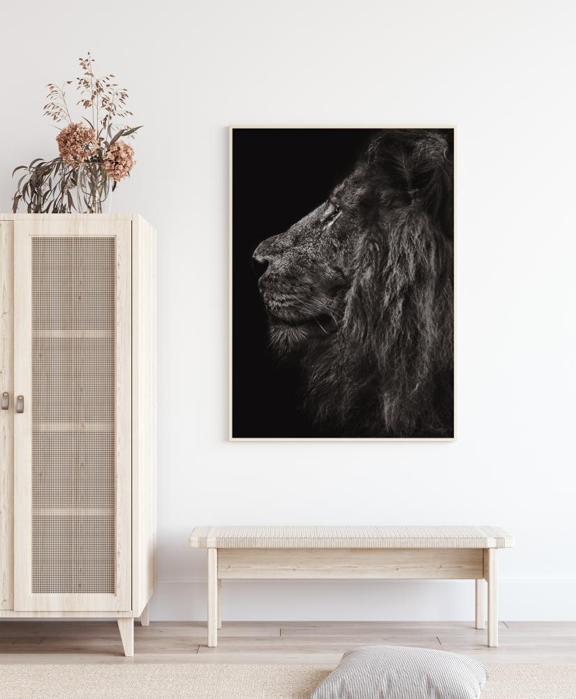 Bildverkstad Lion In Profile Poster