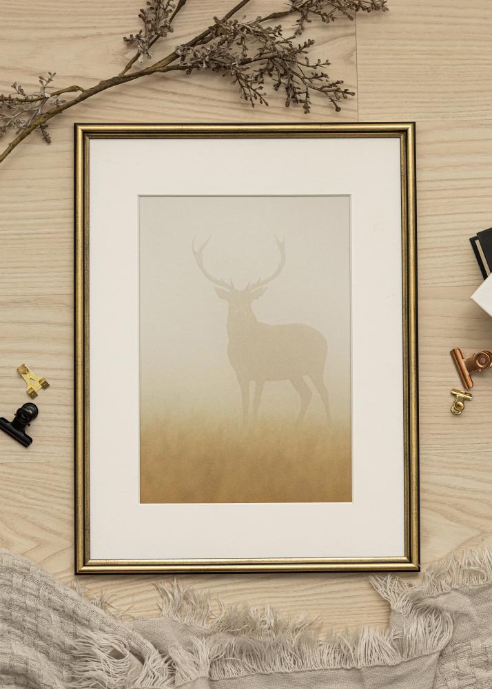 Ram med passepartou Frame Horndal Gold 35x50 cm - Picture Mount White 11x17 inches