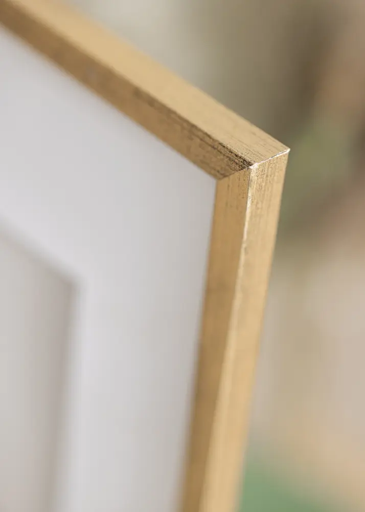 Estancia Frame Gallant Acrylic glass Gold 50x70 cm