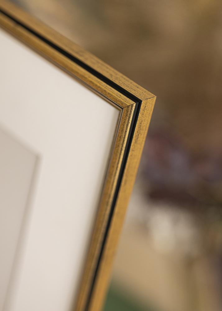 Ram med passepartou Frame Horndal Gold 35x50 cm - Picture Mount White 11x17 inches