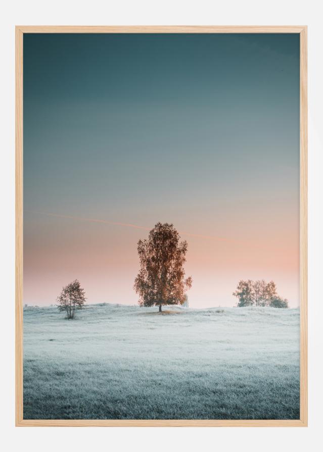 Bildverkstad A Peaceful Morning Poster